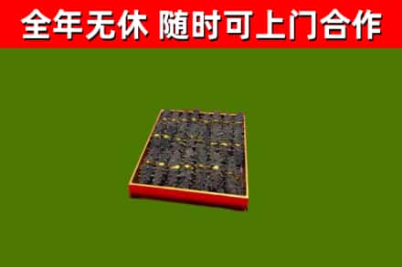 文水县回收海参
